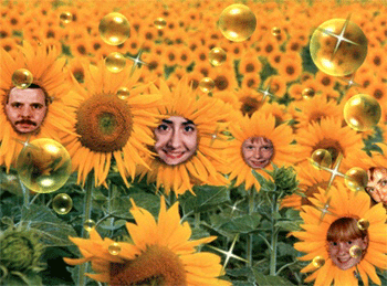 Sonnenblumenlandschaft